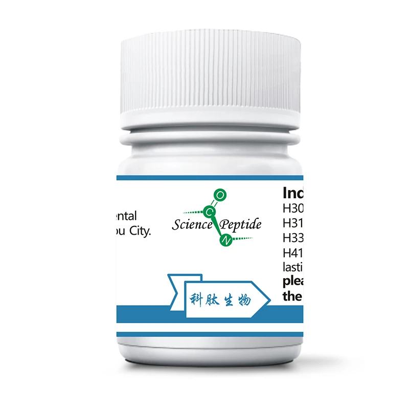Daptomycyna